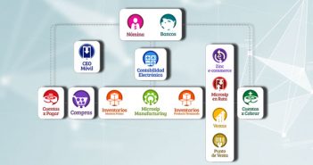 Planificación de Recursos Empresariales (ERP)