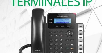 Guía de terminales IP